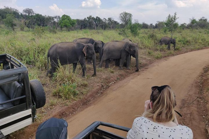 Hurulu Eco Park Private Safari - Photo 1 of 7